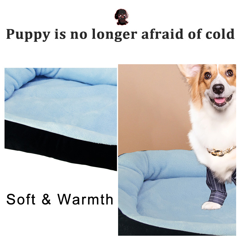 luxury dog bed